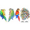 Термомозаика "Попугай". Набор цветных бусин 1000 шт