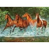 Puzzle "Cascade Run", Castorland (300 pcs.)