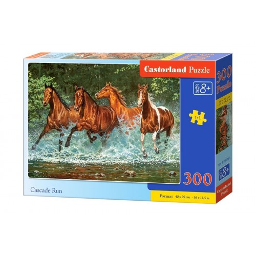 Puzzle "Cascade Run", Castorland (300 pcs.)