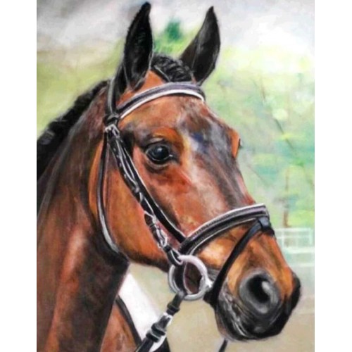 Diamond mosaic 40x40 cm Horse