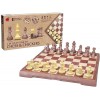 Magnetic Chess & Checkers Set