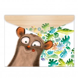 ARGUS Папка А4 (1650-0272)