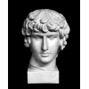 Гипсовая модель EKORSHE «Голова Антиноя», 25*25*41.5 см