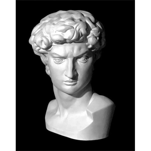 Гипсовая модель EKORSHE «Давид Микеланджело», 30*26*46 см