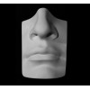 Гипсовая модель EKORSHE «Нос с губами Давида», 16*14*25 см