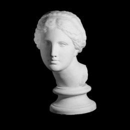 Plaster model EKORSHE, Head of Aphrodite, 25x25x49.5 cm