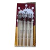 PROPLEX, Extra Long Brush Set