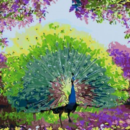 Painting by numbers "Peacock" 30x30 cm 