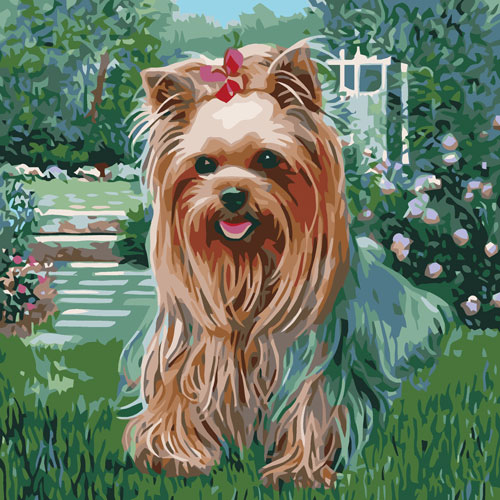 Painting by numbers "Yorkshire Terrier" 30x30 cm 