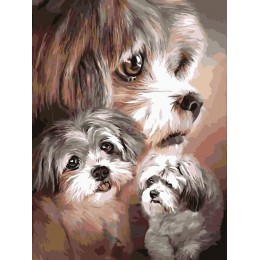 Painting by numbers “3 puppies” 30x40 cm 