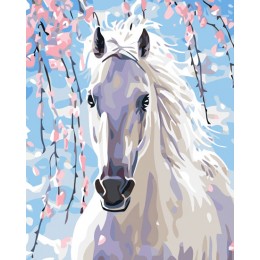 Painting by numbers "White horse" 40x50 cm 