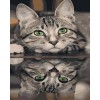 Painting by numbers “Cat and his reflection” 40x50 cm 