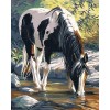 Painting by numbers "Horse by the river" 40x50 cm 