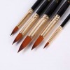 Synthetic brush set Xin Bowen (round, 5 pcs.)