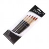 Synthetic brush set Xin Bowen (round, 5 pcs.)