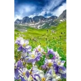 "Горный пейзаж" алмазная мозаика на холсте с подрамником, 30х40