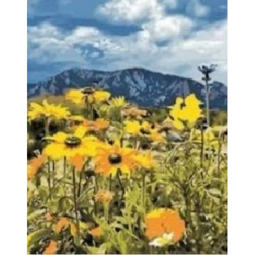 "Желтые цветы у гор" алмазная мозаика на холсте с подрамником, 40х50