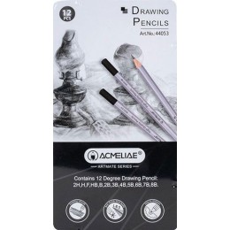 Набор чернографитных карандашей Acmeliae (12 шт. в металлическом пенале)