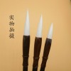 CALIGRAPHYS, Calligraphy Brush Set