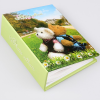 Photo album, 18x23cm, 200pcs.