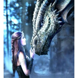 "Девочка и дракон" алмазная мозаика на холсте с подрамником, 30x30