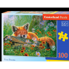 Puzzle "Fox". Castorland (100pcs.)