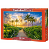 Puzzle "Colourful sunrise in Miami", Castorland (3000 pieces)