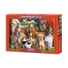 CASTORLAND 3000, Puzzle