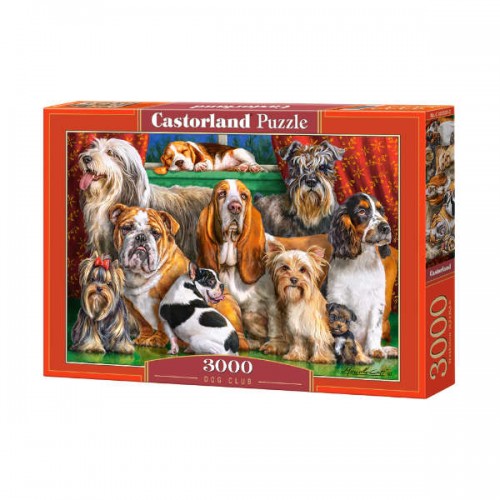 CASTORLAND 3000, Puzzle