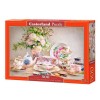 CASTORLAND 500, Puzzle