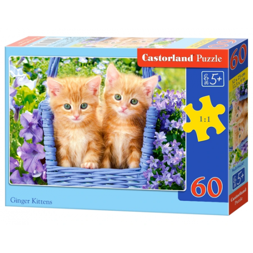 Puzzle "Kitties". Castorland (60 pcs.)