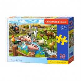 CASTORLAND 70, Puzzle