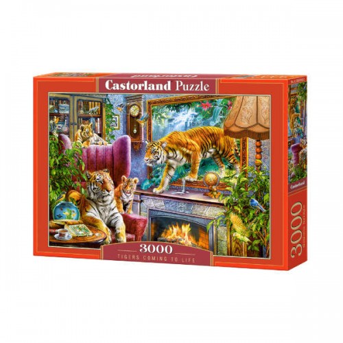 CASTORLAND 3000, Puzzle