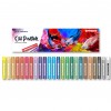 Oil pastels PENMATE, 24 colors